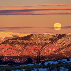 Falinaptár képes lemeznaptár 300x300mm, The Moon Realsystem 2027.