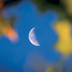 Falinaptár képes lemeznaptár 300x300mm, The Moon Realsystem 2027.