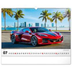 Falinaptár képes  480×330mm Cars  Realsystem 2027.
