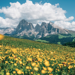 Falinaptár képes lemeznaptár 300x300mm, Alps Realsystem 2027.