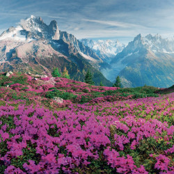 Falinaptár képes lemeznaptár 300x300mm, Alps Realsystem 2027.