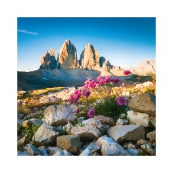 Falinaptár képes lemeznaptár 300x300mm, Alps Realsystem 2026. Író- irodaszer, papíráru Realsystem