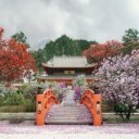 Falinaptár képes lemeznaptár 300x300mm, Gardens Realsystem 2027.