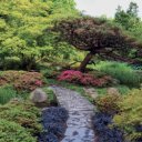 Falinaptár képes lemeznaptár 300x300mm, Gardens Realsystem 2027.