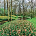 Falinaptár képes lemeznaptár 300x300mm, Gardens Realsystem 2027.