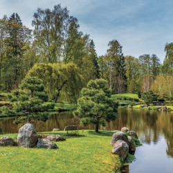 Falinaptár képes lemeznaptár 300x300mm, Gardens Realsystem 2027.