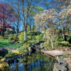 Falinaptár képes lemeznaptár 300x300mm, Gardens Realsystem 2027.