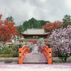 Falinaptár képes lemeznaptár 300x300mm, Gardens Realsystem 2027.
