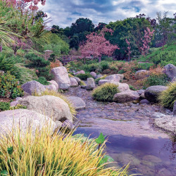 Falinaptár képes lemeznaptár 300x300mm, Gardens Realsystem 2027.