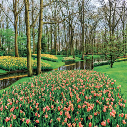 Falinaptár képes lemeznaptár 300x300mm, Gardens Realsystem 2027.