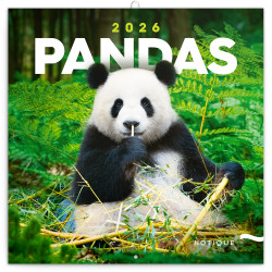 Falinaptár képes lemeznaptár 300x300mm, Pandas Realsystem 2027. Író- irodaszer, papíráru Realsystem