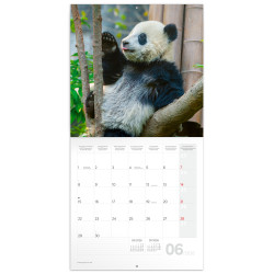 Falinaptár képes lemeznaptár 300x300mm, Pandas Realsystem 2027. Író- irodaszer, papíráru Realsystem