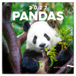 Falinaptár képes lemeznaptár 300x300mm, Pandas Realsystem 2027.