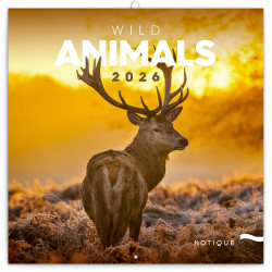Falinaptár képes lemeznaptár 300x300mm, Wild Animals Realsystem 2026. Író- irodaszer, papíráru Realsystem