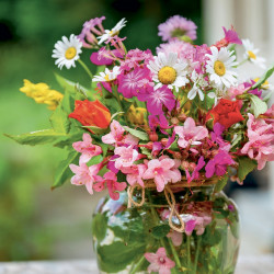 Falinaptár képes lemeznaptár 300x300mm, Flowers Realsystem 2027.