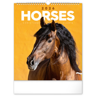 Falinaptár képes  300x340mm Horses Realsystem 2026.