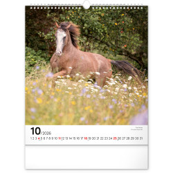 Falinaptár képes  300x340mm Horses Realsystem 2026.