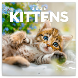 Falinaptár képes lemeznaptár 300x300mm, Kittens Realsystem 2026. Író- irodaszer, papíráru Realsystem