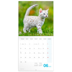 Falinaptár képes lemeznaptár 300x300mm, Kittens Realsystem 2027. Író- irodaszer, papíráru Realsystem