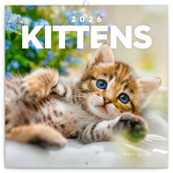 Falinaptár képes lemeznaptár 300x300mm, Kittens Realsystem 2026. Író- irodaszer, papíráru Realsystem