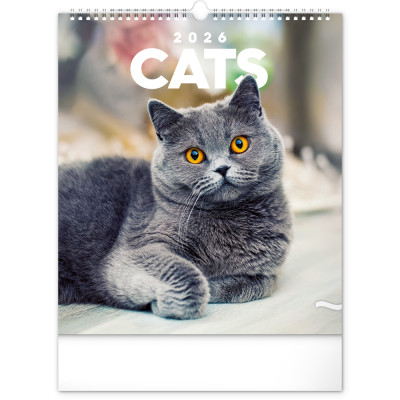 Falinaptár képes  300x340mm Cats Realsystem 2026.