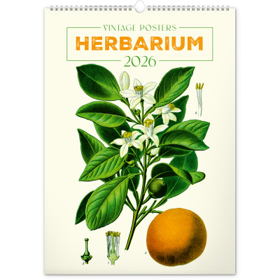 Falinaptár képes  330×460mm Vintage Posters-Herbarium Realsystem 2026.