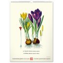 Falinaptár képes  330×460mm Vintage Posters-Herbarium Realsystem 2027.