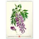 Falinaptár képes  330×460mm Vintage Posters-Herbarium Realsystem 2027.