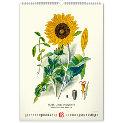 Falinaptár képes  330×460mm Vintage Posters-Herbarium Realsystem 2027.
