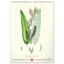 Falinaptár képes  330×460mm Vintage Posters-Herbarium Realsystem 2027.