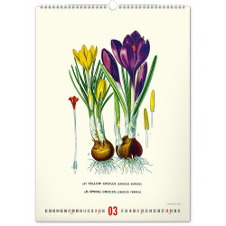 Falinaptár képes  330×460mm Vintage Posters-Herbarium Realsystem 2027.