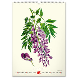 Falinaptár képes  330×460mm Vintage Posters-Herbarium Realsystem 2027.
