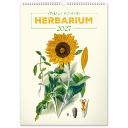 Falinaptár képes  330×460mm Vintage Posters-Herbarium Realsystem 2027.