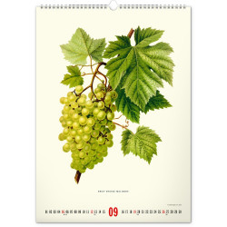 Falinaptár képes  330×460mm Vintage Posters-Herbarium Realsystem 2027.