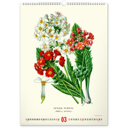 Falinaptár képes  330×460mm Vintage Posters-Herbarium Realsystem 2026. Író- irodaszer, papíráru Realsystem