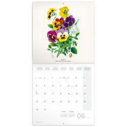 Falinaptár képes lemeznaptár 300x300mm, Herbarium Realsystem 2026. Író- irodaszer, papíráru Realsystem