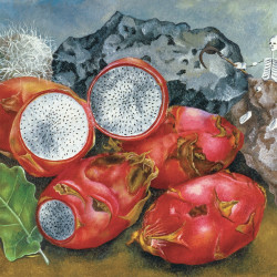 Falinaptár képes lemeznaptár 300x300mm, Frida Kahlo Realsystem 2027.