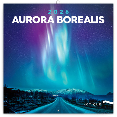 Falinaptár képes lemeznaptár 300x300mm, Aurora Borealis Realsystem 2026.