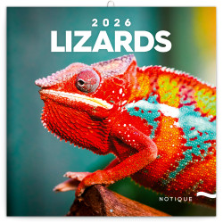 Falinaptár képes lemeznaptár 300x300mm, Lizards Realsystem 2026. Író- irodaszer, papíráru Realsystem