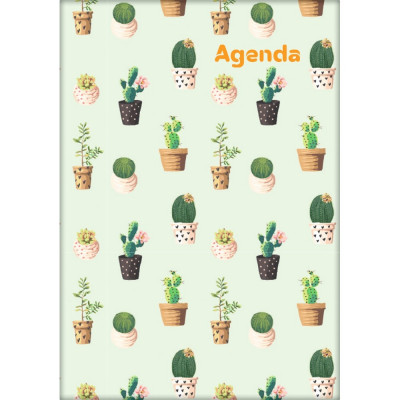 Határidőnapló Colors A5 heti, fehér lapokkal Cactus Dayliner 2026.