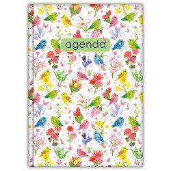 Határidőnapló Colors A5 heti, fehér lapokkal Nature zöld Dayliner 2026. Író- irodaszer, papíráru Dayliner