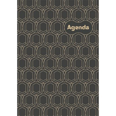 Határidőnapló Colors A5 napi, fehér lapokkal Art Modern Dayliner 2027.