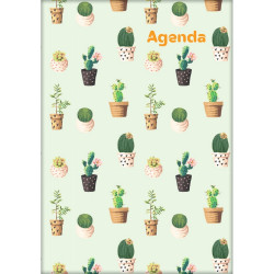Határidőnapló Colors A5 napi, fehér lapokkal Cactus Dayliner 2026. Író- irodaszer, papíráru Dayliner