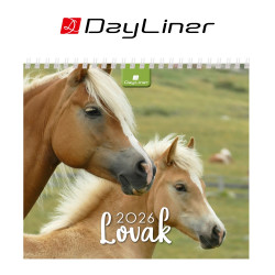 Képes asztali naptár 150 x 130 mm, fehér lapokkal Lovak álló mini Dayliner 2026. Író- irodaszer, papíráru Dayliner
