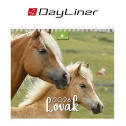 Képes asztali naptár 150 x 130 mm, fehér lapokkal Lovak álló mini Dayliner 2026. Író- irodaszer, papíráru Dayliner