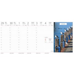 Képes asztali naptár Magyarország 320 x 150 mm, fehér lapokkal fekvő fehér karton tartóval Dayliner 2026. Író- irodaszer, papíráru Dayliner