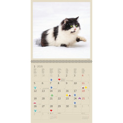 Falinaptár képes 300 x 300 mm, fehér lapokkal Cats Dayliner 2026.