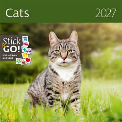 Falinaptár képes 300 x 300 mm, fehér lapokkal Cats Dayliner 2027.
