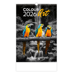 Falinaptár képes 315 x 450 mm, fehér lapokkal Colour Art Dayliner 2026. Író- irodaszer, papíráru Dayliner