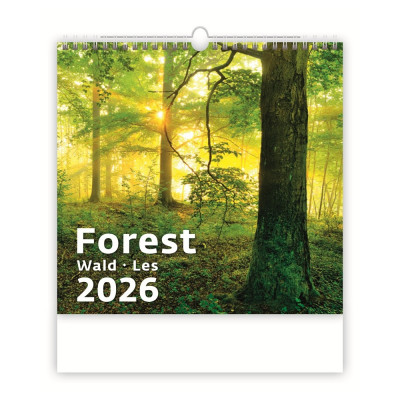 Falinaptár képes 300 x 300 mm, fehér lapokkal Forest Dayliner 2026.